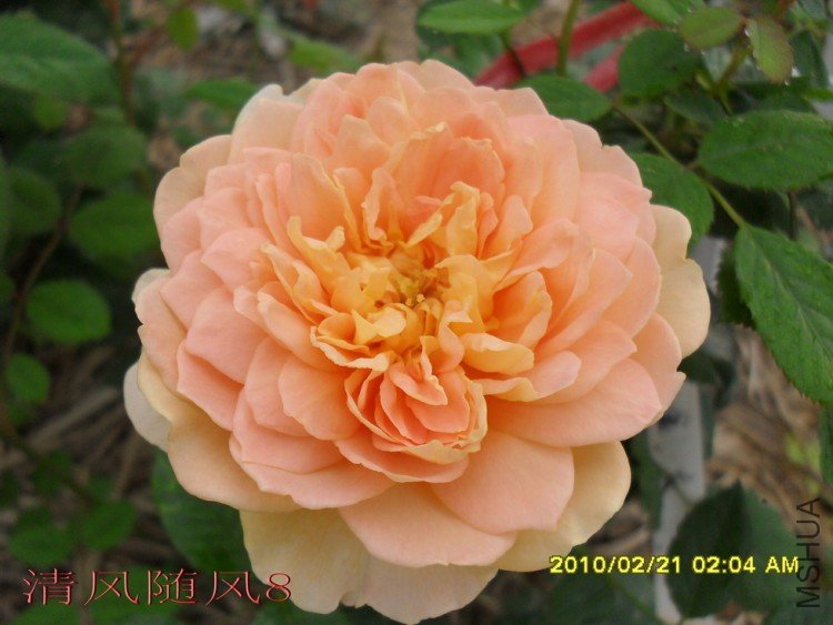 �ƽ����2 (3).jpg