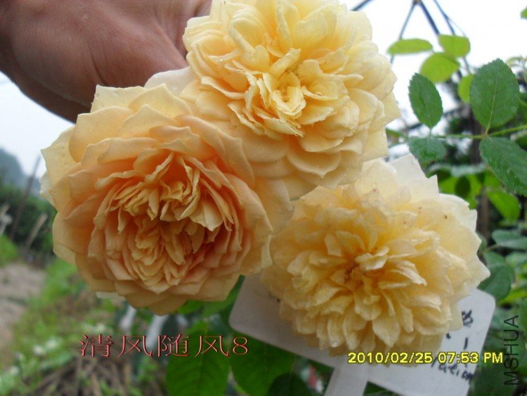 �ƽ����2 (2).jpg