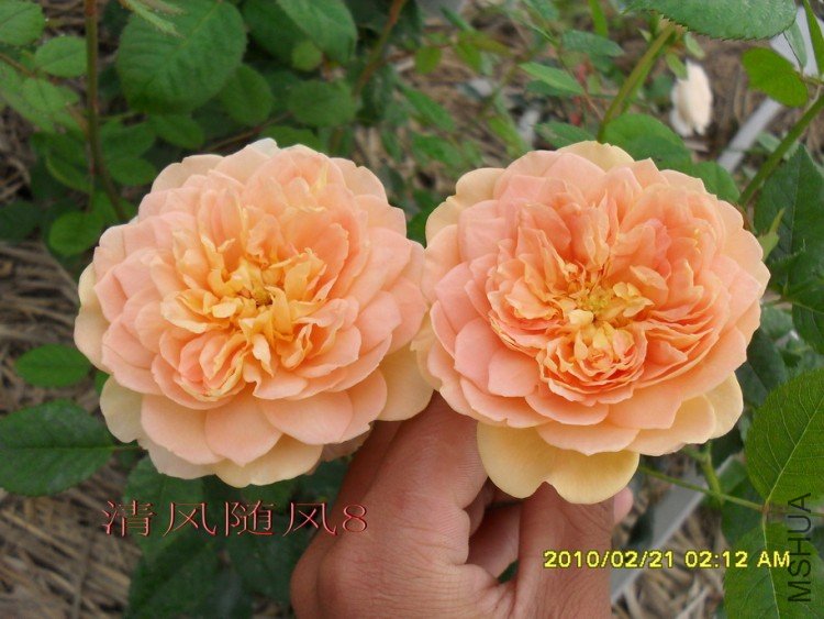 �ƽ����2 (7).jpg