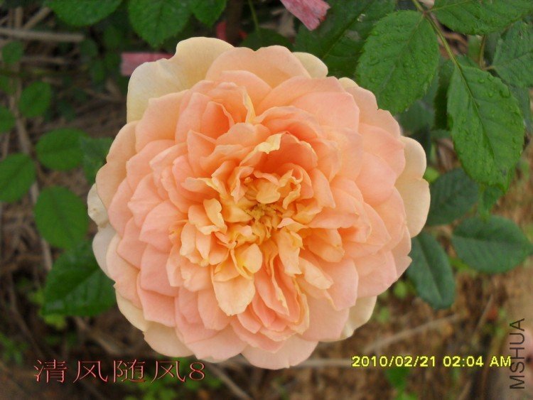 �ƽ����2 (4).jpg