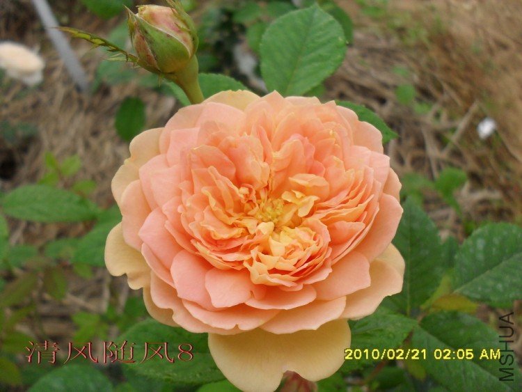 �ƽ����2 (5).jpg