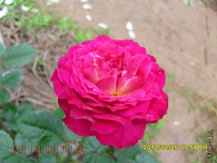 ��ɫ����11 (6).jpg