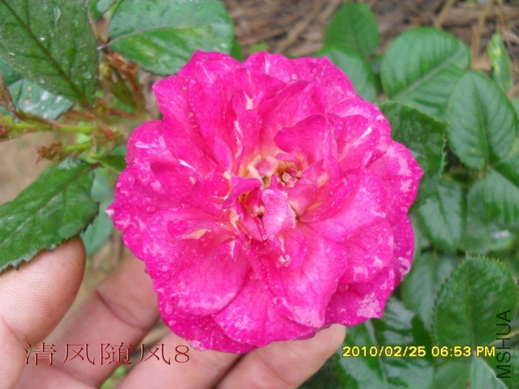 ��ɫ����11 (4).jpg