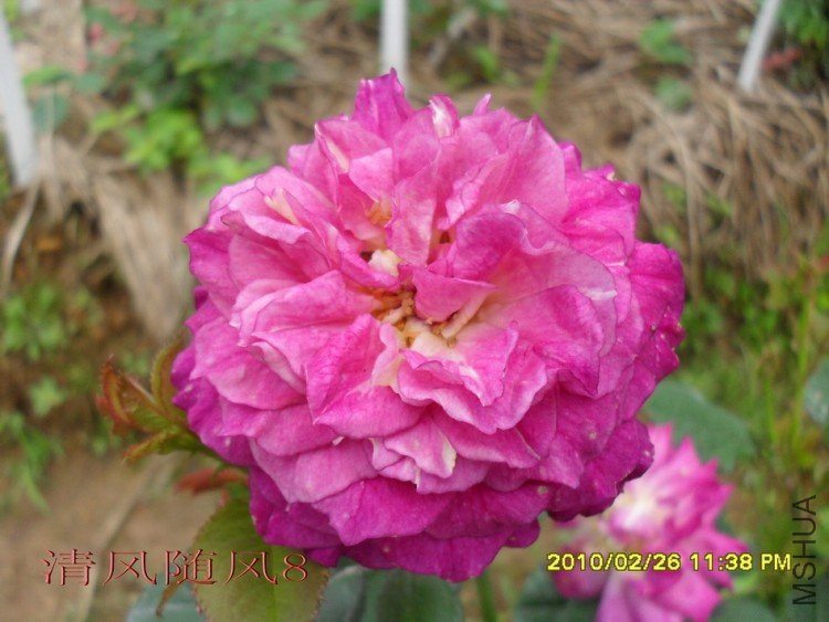 ��ɫ����11 (8).jpg