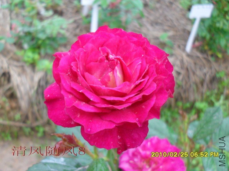 ��ɫ����11 (3).jpg