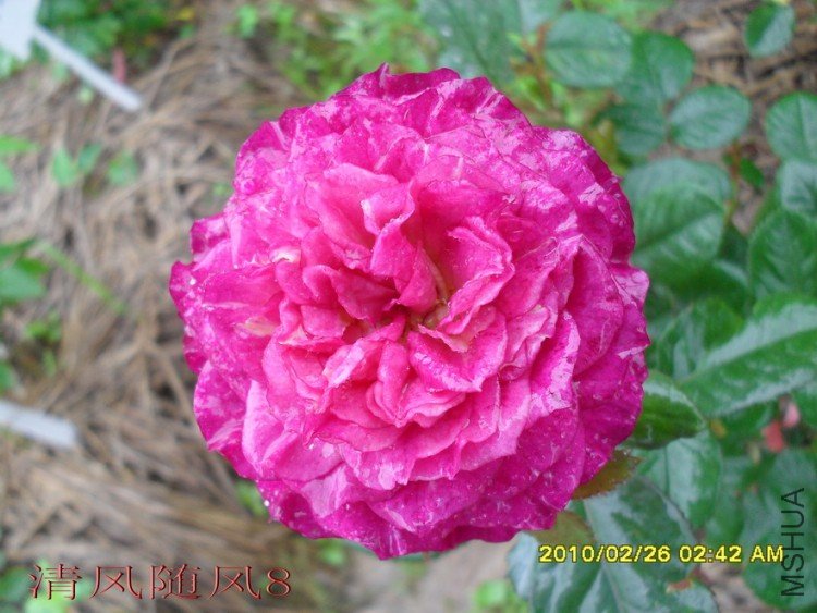 ��ɫ����11 (7).jpg