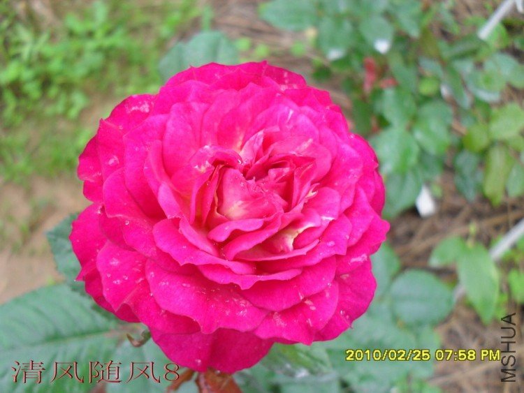 ��ɫ����11 (5).jpg