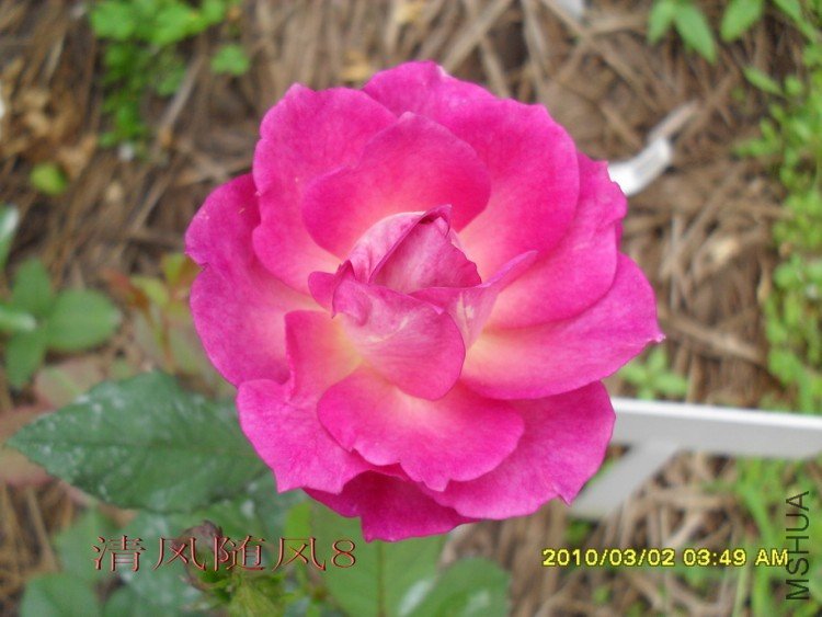 ��ɫ����11 (1).jpg