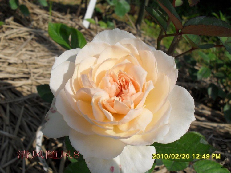 ����� (2).jpg