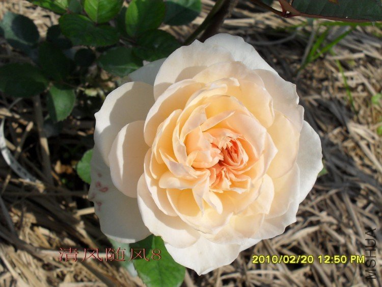 ����� (3).jpg