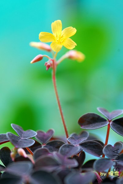 6948s.jpg