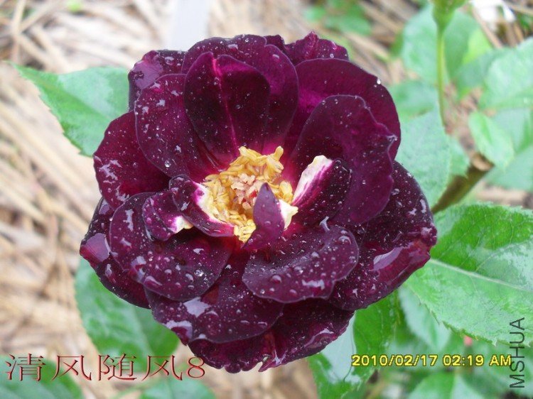 ����֮ҹ (6).jpg