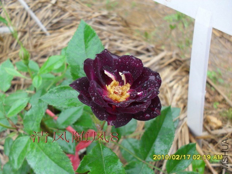 ����֮ҹ (7).jpg