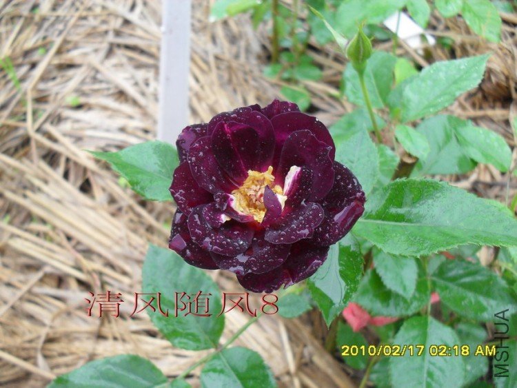 ����֮ҹ (5).jpg