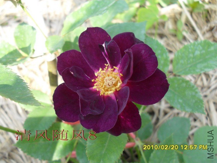 ����֮ҹ (8).jpg