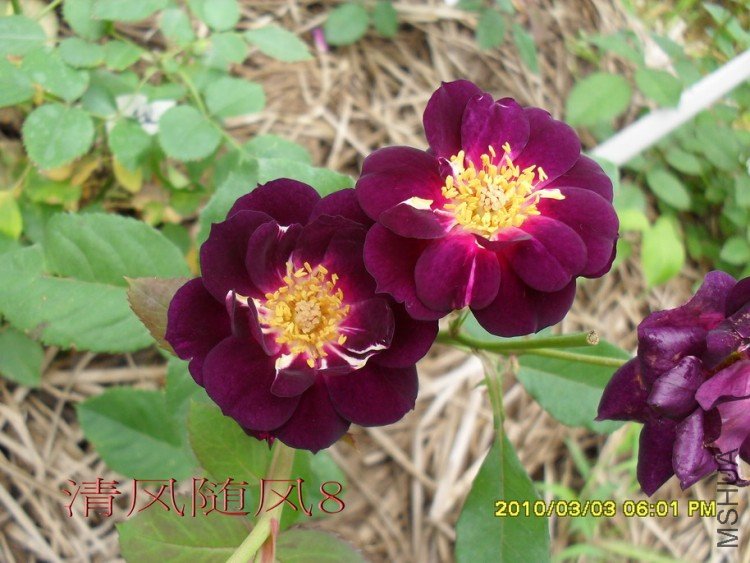 ����֮ҹ11 (7).jpg