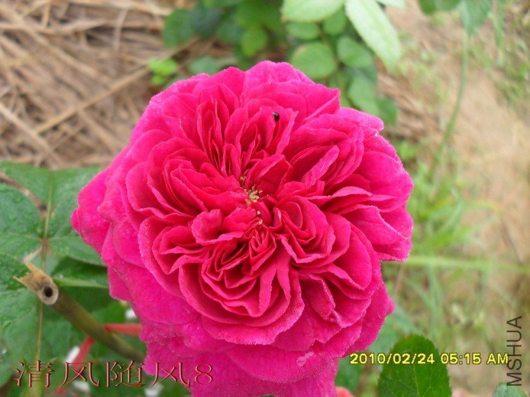 ����.ɯʿ����200 (3).jpg