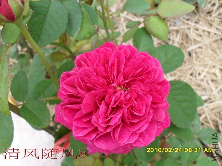 ����.ɯʿ����200 (6).jpg