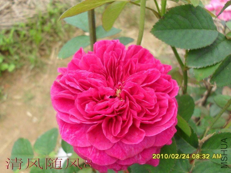 ����.ɯʿ����200 (7).jpg