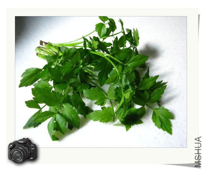 ������ʱ���˵�ˮ��