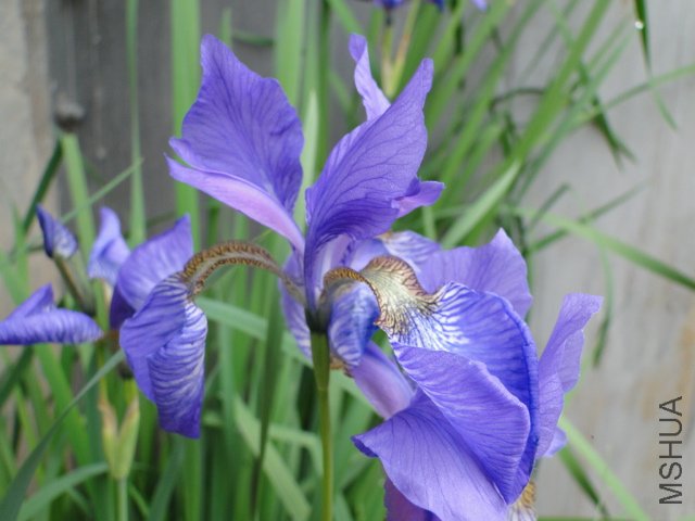 DSC01289.JPG