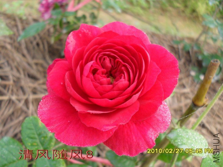 ����˹����11 (2).jpg