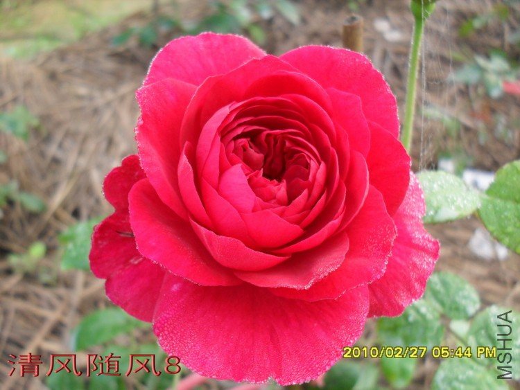 ����˹����11 (1).jpg