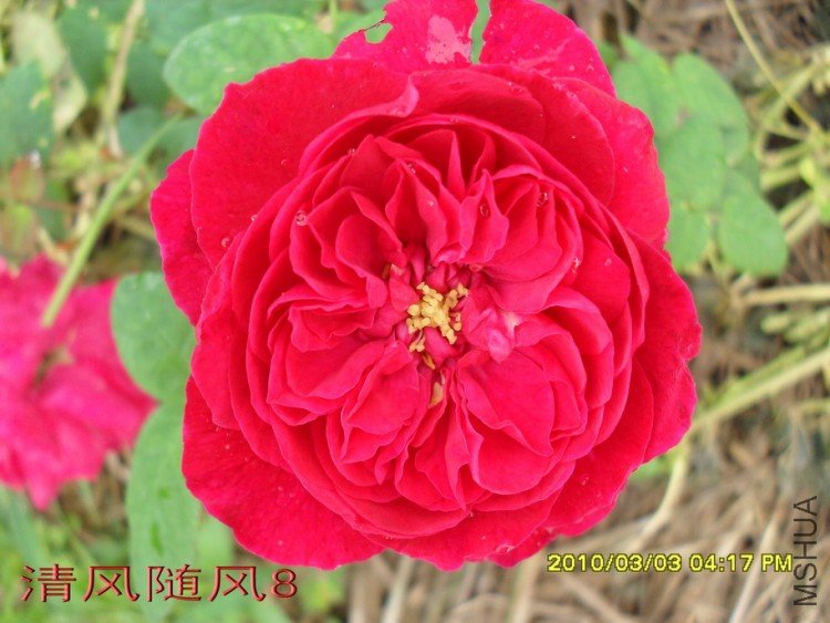 ����˹����11 (6).jpg