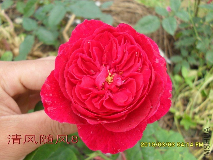 ����˹����11 (4).jpg