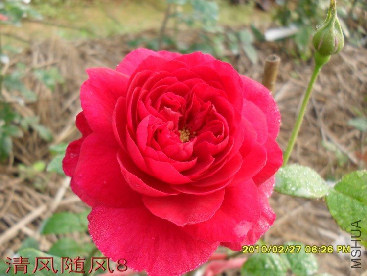 ����˹����11 (3).jpg