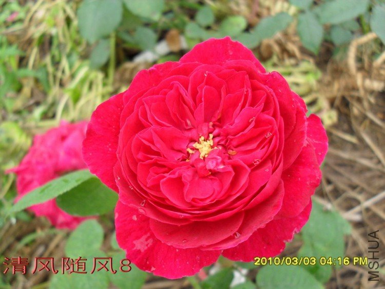 ����˹����11 (5).jpg