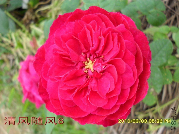 ����˹����11 (8).jpg