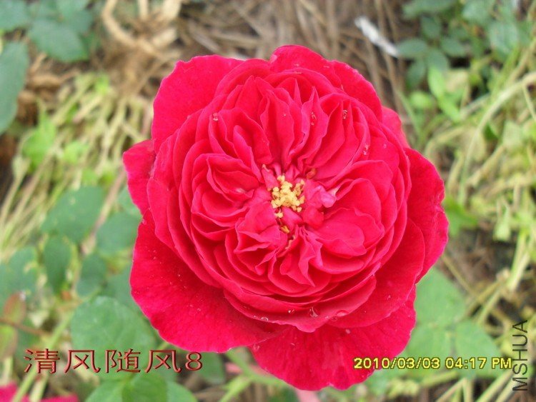 ����˹����11 (7).jpg