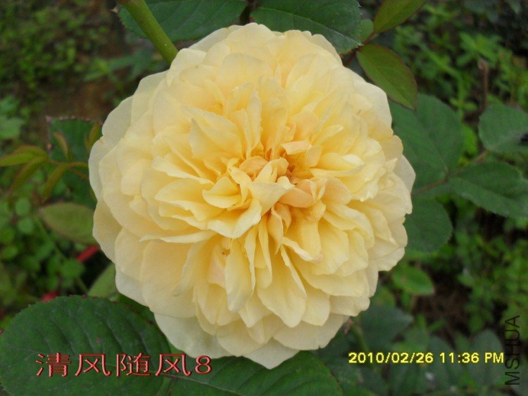 ���׺�ķ.����˹11 (8).jpg