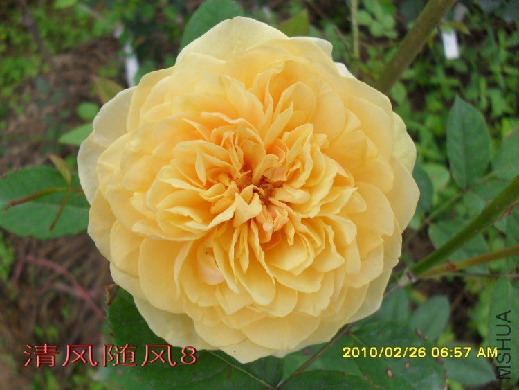 ���׺�ķ.����˹11 (7).jpg