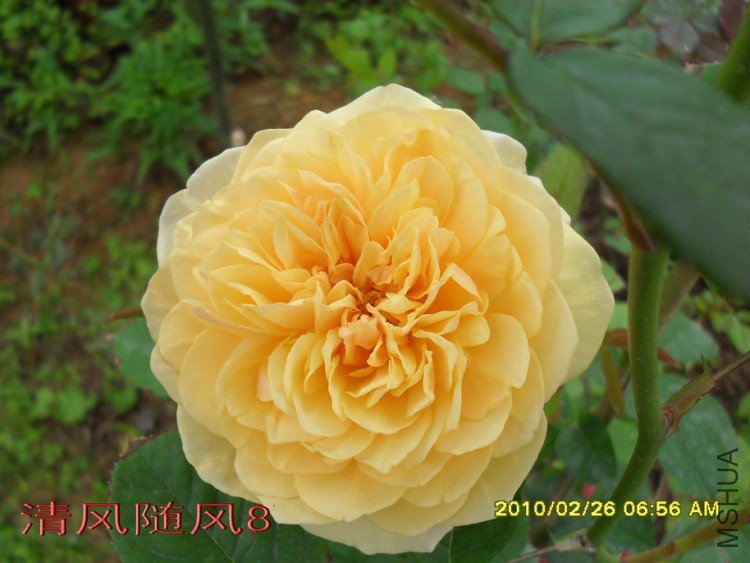 ���׺�ķ.����˹11 (6).jpg