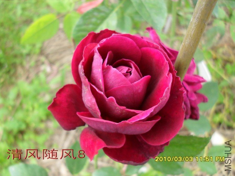 ����11 (1).jpg