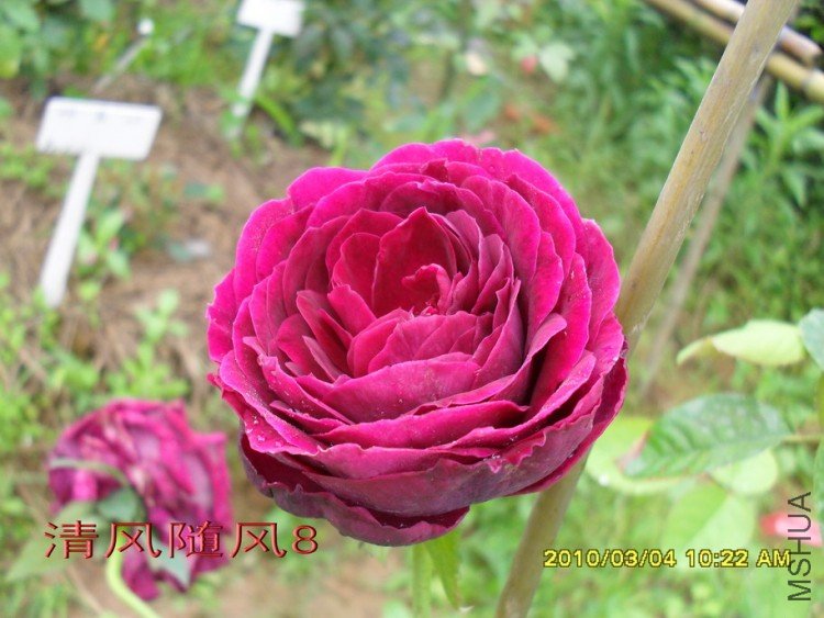 ����11 (2).jpg