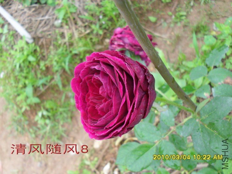 ����11 (3).jpg