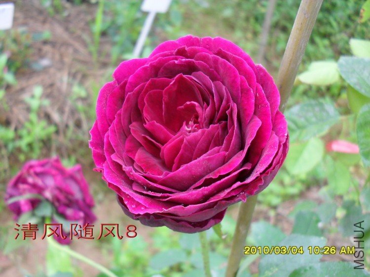 ����11 (4).jpg