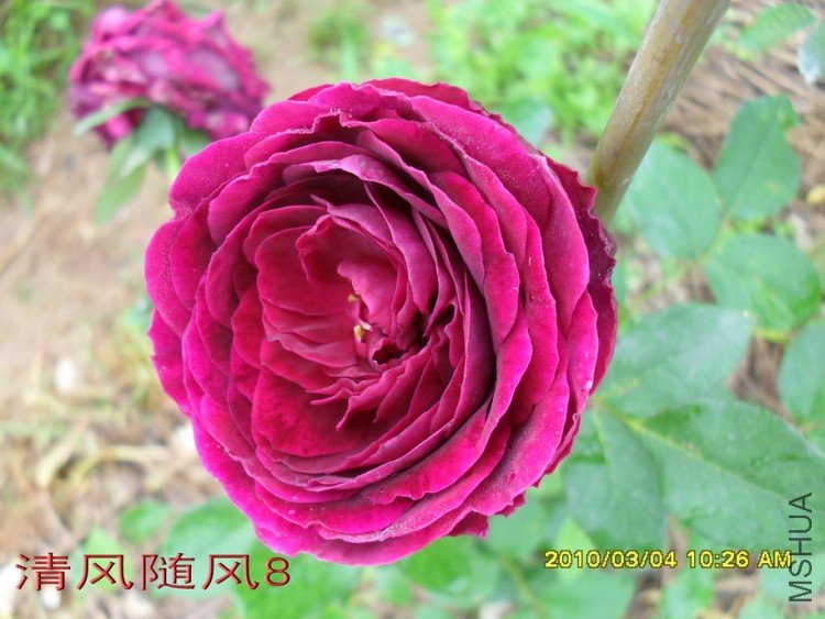 ����11 (5).jpg