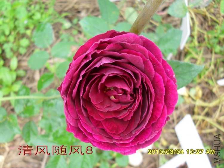 ����11 (7).jpg