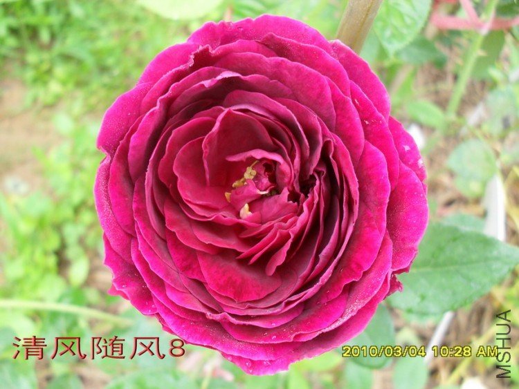 ����11 (8).jpg