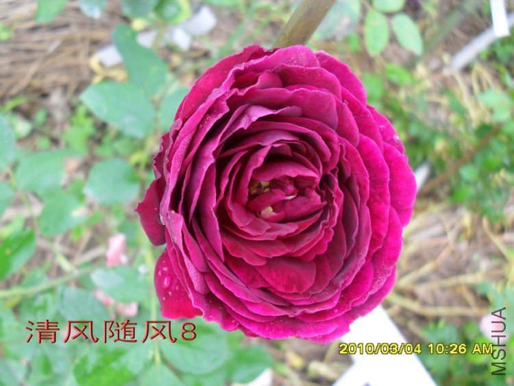 ����11 (6).jpg