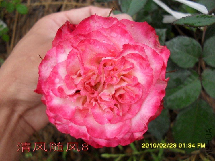 ����������13 (1).jpg