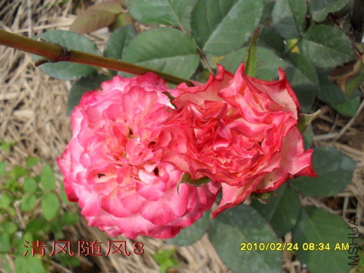 ����������13 (5).jpg