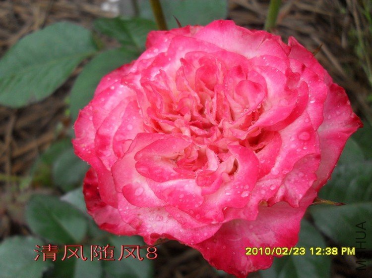 ����������13 (6).jpg