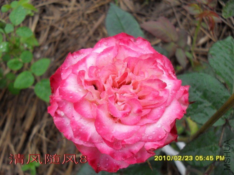 ����������13 (3).jpg