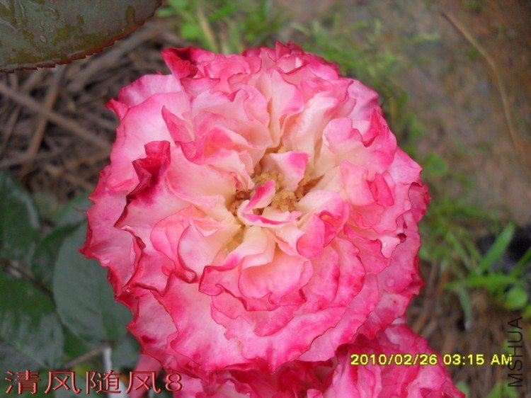 ����������13 (8).jpg