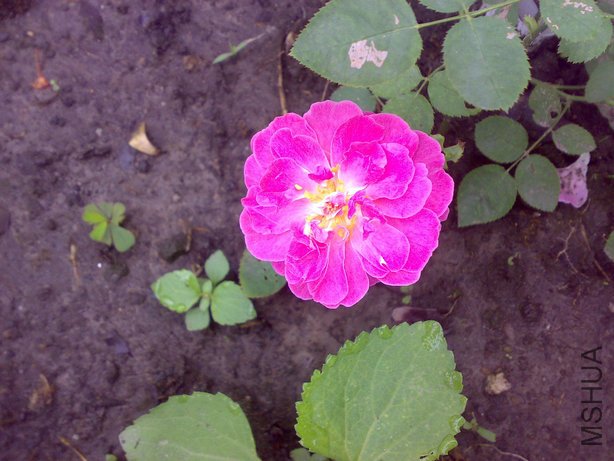 20060101389.jpg